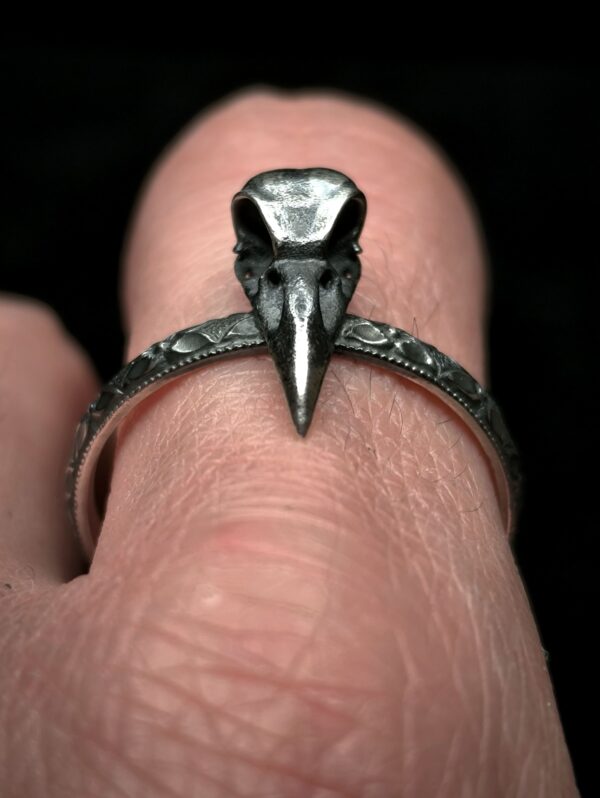 Anillo Calavera de Cuervo - Pequeño - Imagen 3