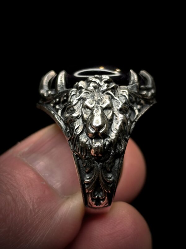 Anillo Leon