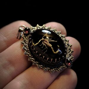 Colgante Escorpion Resina